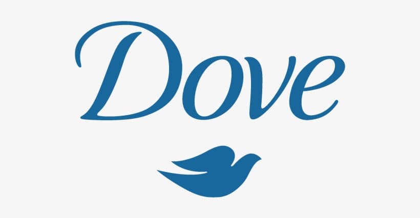 Dove Body Wash 22oz